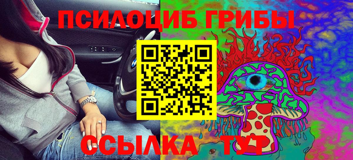 Галлюциногенные грибы Psilocybe Верхняя Пышма